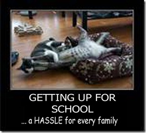 back-to-school-grind