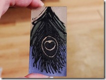 peacock-feather-experiment