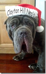 Christmas-Zeus