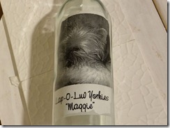 maggie-wine-bottle-experime