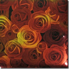 Eds Roses dichroic glass