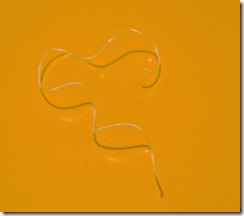 Dissolving-suture---NOT