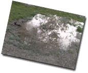 water bubbling from ground