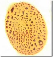 2015-05-0702.35.33_resized