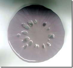 sand-dollar-bowl-backside