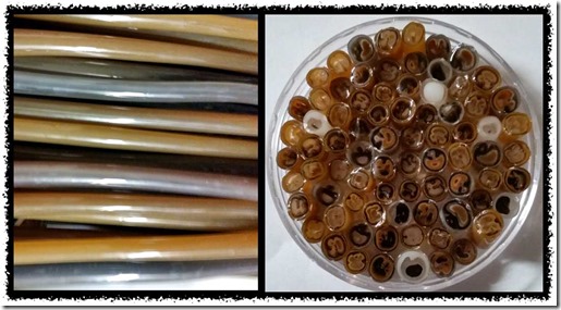 brown-tea-pull brown-tea-pull