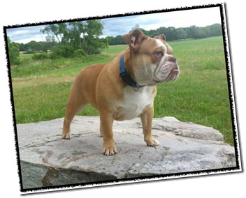 Chloe-6-17 Chloe-6-17