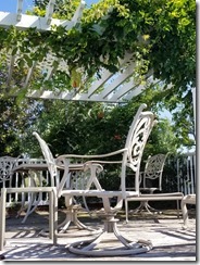 pool-deck-with-flowering-vi