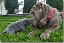 daddy-daughter-playtime