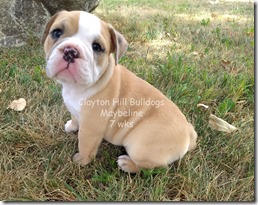 IMG_20180712_172038756