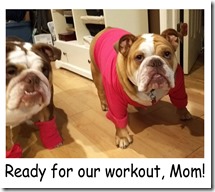 olivia-newton-bulldogs