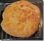 no-knead-bread-tale-1