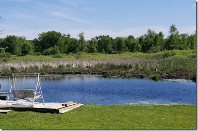 pond-deck-project