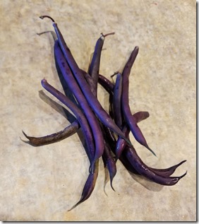 purple-beans