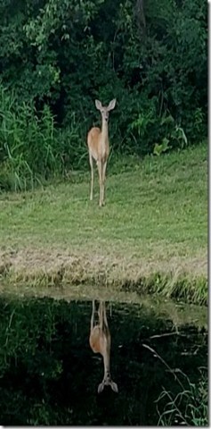 received_1236003003893645